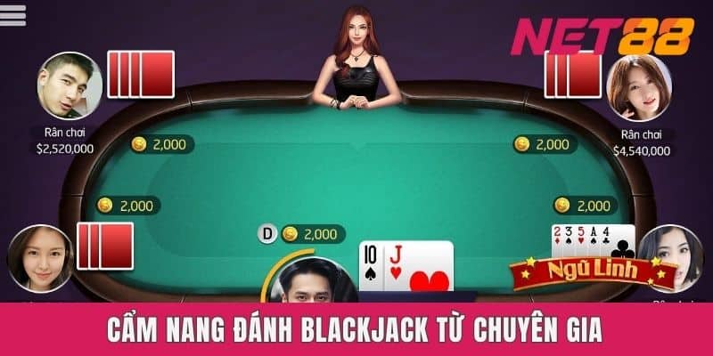 Cẩm nang đánh Blackjack từ chuyên gia