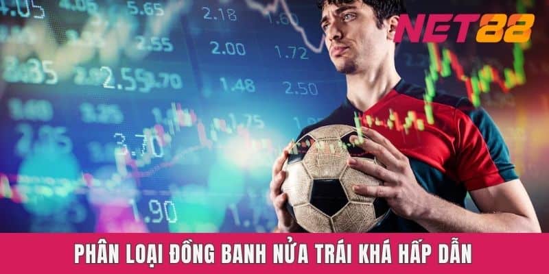 Phân loại đồng banh nửa trái khá hấp dẫn