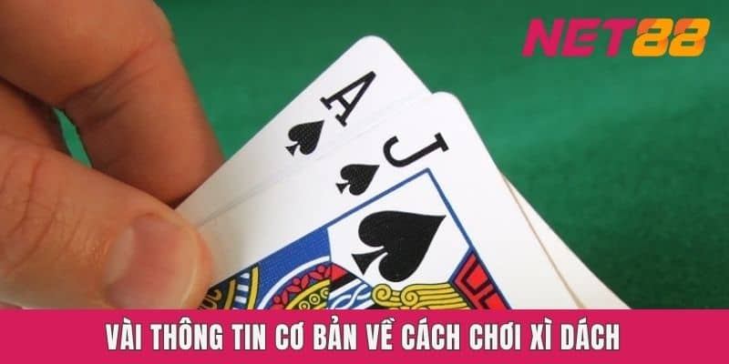 Vài thông tin cơ bản về cách chơi Xì Dách Net88